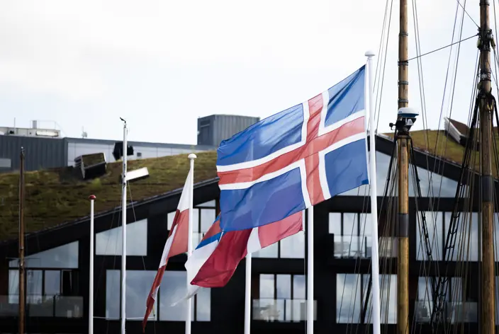 The Icelandic flag among other nordic flags
