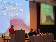 Maríanna Jónasdóttir formaður stjórnar LSR