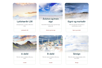Skjámynd úr ársskýrslu LSR 2024